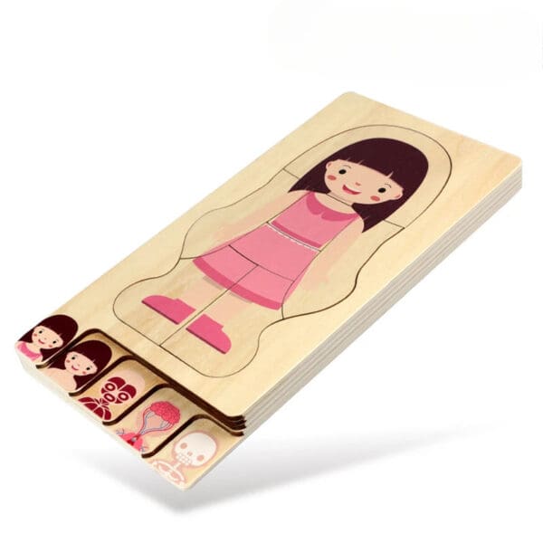 Wholesale Wooden Human Body Puzzle Montessori Educational Toy for Kids Body Structure Learning Dropshipping - Image 3